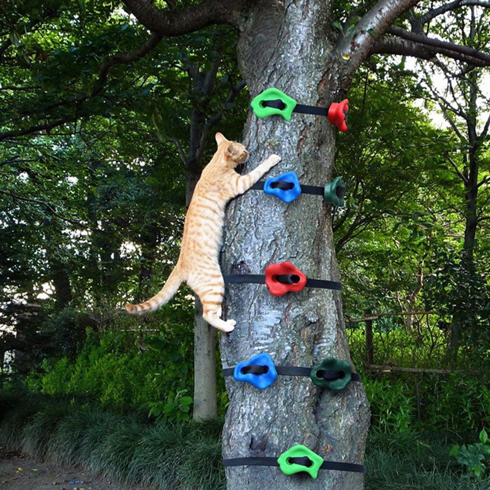 Outdoor Climbing Toys Adjustab - Heavy Equipment Course 评论和价格